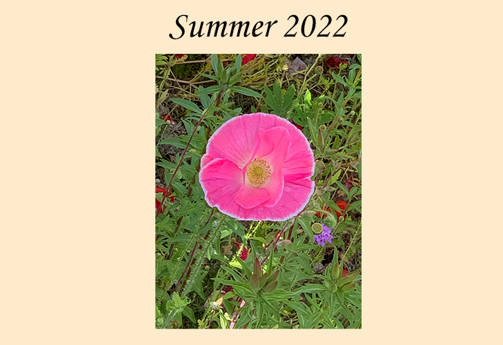 Photographs, Summer 2022.